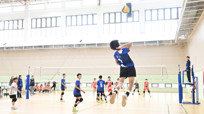 慎入，尼日利亚超比赛中一球员被对方球迷冲进场内割喉