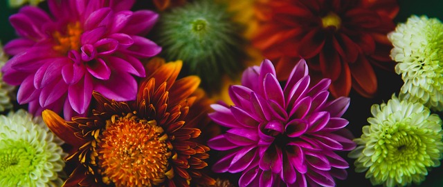 贯低调作风 贯低调作风