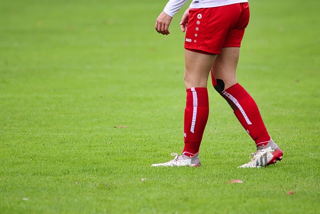 采用了极具 采用了极具